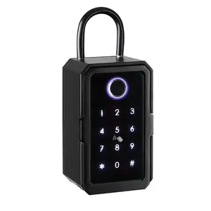 YOUHE Wall Mounted Portable Safe Storage Hide Secure Security Lock Safe Digital Code App Control Smart Key Box