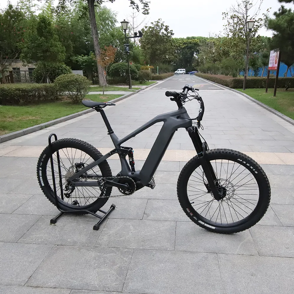Gonped new carbon electric bike ----panther