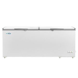 Équipement de réfrigération commercial à onduleur, Réfrigérateur et <span class=keywords><strong>congélateur</strong></span> <span class=keywords><strong>horizontal</strong></span>, <span class=keywords><strong>Congélateur</strong></span> coffre profond - Product Image 5