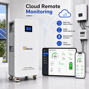 Batería de Almacenamiento Solar Fuera de Red de 16kWh 51.2V 314Ah con Monitoreo en la Nube, WiFi, BMS Inteligente, 6000 Ciclos, Batería para Casa Móvil, Almacén UE - Product Image 4