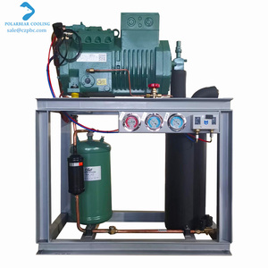 Complete Set Medium <strong>Low</strong> Temperature Cold <strong>Storage</strong> Equipment Bitzer Special Refrigeration <strong>Unit</strong> Semi Enclosed Condensing <strong>Units</strong> - Product Image 3
