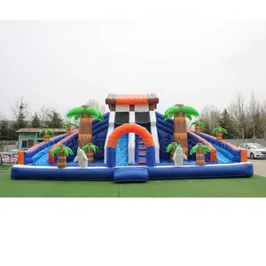 High Quality Amusement Park Inflatable Dolphin Water Slide Inflatable Little Dolphin Slide With Pool For Kids