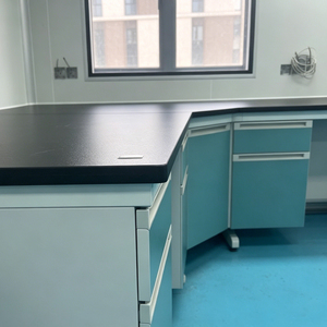 Mesa de Trabajo de Laboratorio de Acero Resistente a la Corrosión, Mesa de Laboratorio Lateral de Pared con Gabinetes de Almacenamiento - Product Image 4