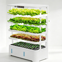 Système de culture hydroponique vertical intelligent pour légumes, système d'irrigation multi-niveaux pour semis à usage domestique