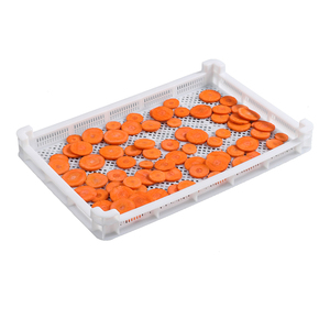 Precio competitivo de fábrica HDPE ventilado algodón de azúcar bandeja de secado de plástico con agujero de malla - Product Image 3