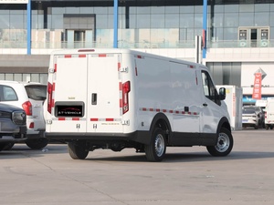 JAC Vanbaolu V8 <span class=keywords><strong>Dream</strong></span> Chasing Edition China Innovation Airlines Micronoodles eléctricos puros - Product Image 5