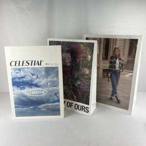 Sacs personnalisés pour marque de vêtements, sacs d'expédition en kraft, sacs d'emballage pour colis, enveloppes en papier kraft pour l'expédition des boutiques en ligne - Product Image 4