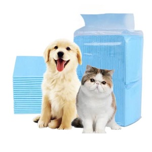 Tapis d'apprentissage super absorbants jetables pour chiens et chats, taille petite, pour chiots, réutilisables, doux, absorbants l'eau, pour l'entraînement des chiens - Product Image 1