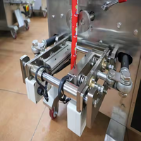 Machine à emballer les sachets de granules de thé en poudre multifonctionnelle pour l'emballage des sachets de sucre, du café et du thé.