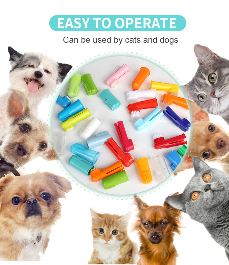 Factory Wholesale Multicolor Pet Finger Brush Cat Dog Finger Toothbrush