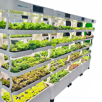 Système hydroponique vertical d'intérieur pour la culture de légumes