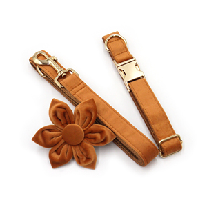 <span class=keywords><strong>2026</strong></span> Populaire trend: zachte fluwelen hondenhalsband met metalen gesp en hondenriem, bloemvormige accessoires kunnen in de halsband worden gedragen - Product Image 3