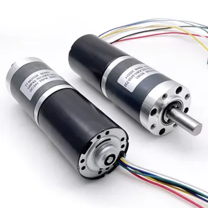 Động Cơ Giảm Tốc Rpm Thấp Mô-men Xoắn Cao Động Cơ Không Chổi Than Dc 12 Volt 24 Volt Dc