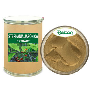 Порошок экстракта <span class=keywords><strong>Stephania</strong></span> <span class=keywords><strong>Japonica</strong></span>, порошок <span class=keywords><strong>Stephania</strong></span> <span class=keywords><strong>Japonica</strong></span> - Product Image 2