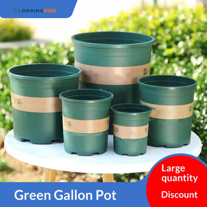 Pots de fleurs DaringFish pour la maison, vente en gros, offre spéciale, liquidation, plantes en <span class=keywords><strong>pot</strong></span> pour balcon, succulentes, Epipremnum Aureum, pots à roses - Product Image 2