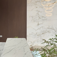 Panneau Mural Moderne en PVC, Ignifuge et Étanche, Effet Marbre pour la Décoration Intérieure de Salles de Bain, Salons, Hôtels et Maisons