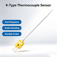 Sonde thermocouple de type K, capteur haute température, câble de mesure de température industrielle avec connecteur mini type K