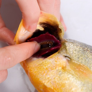 Croaker jaune frais congelé, poisson d'eau de mer profonde, marque Woody, qualité LQF, processus de congélation, emballage en vrac disponible - Product Image 4