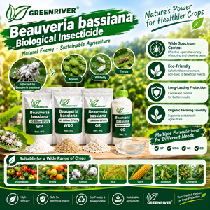 GREENRIVER Beauveria Bassiana Acaricide Biologique Liquide 100% Pur pour le Contrôle des Acariens (Acariens Rouges) Protection des Cultures - Product Image 1