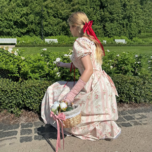Robe maxi évasée à imprimé floral rayé rose à lacets avec corsage de cour médiéval pour femmes, col carré, manches bouffantes, dentelle et ruban - Product Image 3
