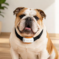 Rastreador GPS 4G para Mascotas, Monitor de Salud, Seguimiento de Actividad 24/7, Diagnóstico Veterinario por IA, Geocerca, Seguimiento en Tiempo Real, Más de 20 Horas de Batería, Silicona