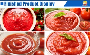 Ligne de production industrielle de tomates en conserve ORME, machine à faire de la purée de tomates, machine à faire de la sauce tomate, prix - Product Image 6