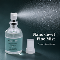 Brume Essentielle Visage en Gros pour un Maquillage Frais Toute la Journée – Brume Fine, Fini Non Collant et Absorption Rapide