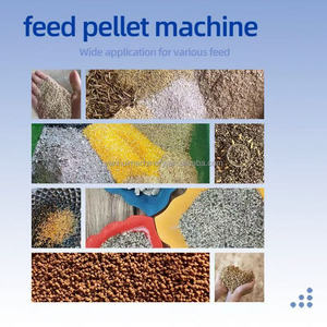 Nouvelle machine à granulés <span class=keywords><strong>pour</strong></span> aliments de volaille et animaux de compagnie (chats, poissons) – Composant essentiel : Roulement 220V haute productivité <span class=keywords><strong>pour</strong></span> la transformation des aliments - Product Image 6