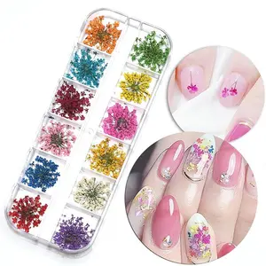 1 Box 24pcs getrocknete Blumen Nagel dekorationen natürliche Blumen Sonnenblume Gänseblümchen Aufkleber 3D Nail Art Designs polnische Maniküre Access ori