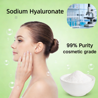 Pasokan Bahan Baku untuk Minuman Fungsional Padat Sodium Hyaluronate Molekul Kecil Kelas Makanan oleh Pabrik Baohua
