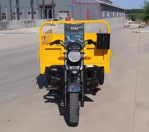 Triciclo a Gasolina de 150-200cc, Motocicleta de Carga Todoterreno para Uso Agrícola y Doméstico <span class=keywords><strong>en</strong></span> Carreteras Africanas - Product Image 5