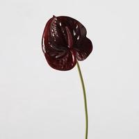 Fleur artificielle tulipe W-A0295, toucher réel, couleur bordeaux, pour décoration de mariage