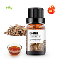 Huile essentielle de racines de costus, huile de Saussurea Lappa, soin de beauté à l'arôme boisé d'épices pures et naturelles