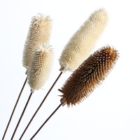 Accessoires photo, arrangement floral en bois simple, kapok, cône de pin, gland, fleur séchée avec tige pour la décoration zen de la maison et du salon