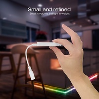 Mini Smart Home ESP32 RGB RGBW WLED Contrôleur LED numérique Version micro USB DC12V/24 3A Sortie Max 800 ICs