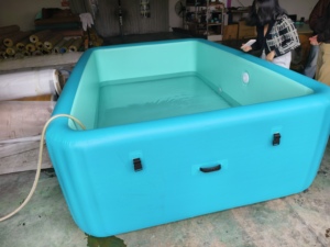 Piscine gonflable rectangulaire en <span class=keywords><strong>PVC</strong></span> à prix d'usine avec sièges pour spa et baignade - Product Image 4
