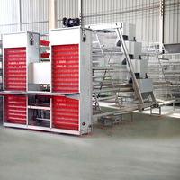 Système de cage à poules pondeuses entièrement automatique de type A, galvanisé, avec système de collecte d'œufs, pour usage agricole