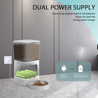 Meilleur distributeur automatique de nourriture sèche en acier inoxydable, bol d'eau, 6L, Wifi, puce RFID, connexion automatique, caméra intelligente pour chat, chien, animal de compagnie