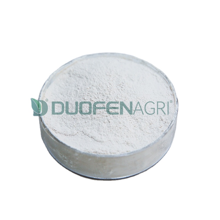 Organic Seaweed Liquid Fertilizer Manufacturer for Crops image 5