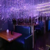 45W RVB Fibre Optique Lumière Créative Net Lumière Rouge Restaurant bar Étoile Fibre Optique Lustre Ciel Étoilé Haut Plein d'Étoiles