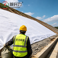Géotextile non tissé aiguilleté à chaud WSL pour le renforcement des talus routiers et le remplissage des routes