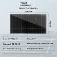 Panneau solaire monocristallin en silicium haute efficacité 250W 100x100cm 10mm d'épaisseur pour la production d'énergie domestique hors réseau et la recharge
