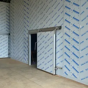 Latest Technology Made Cold Room Doors with Customized Size For Industrial Uses Cold Room Door Manufacture
