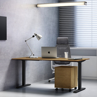 Lesexome — table de levage électrique, automatique et réglable en hauteur, pour la maison et le bureau