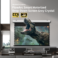 Écran de projection motorisé Wupro/OEM 150 pouces gris cristal, écran de projection ALR à gain amélioré, déroulable automatiquement