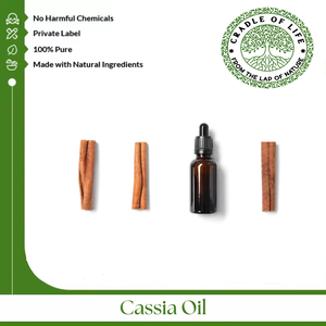 El aceite de Cassia es un aceite esencial cálido y aromático de origen picante y especiado, derivado de la corteza del árbol Cinnamomum cassia mediante destilación por vapor. - Product Image 3