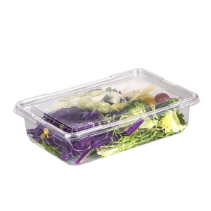 Vente en gros Récipient alimentaire jetable en plastique PET avec sable Boîte d'emballage pour fruits et légumes Plateau blister à clapet - Product Image 4