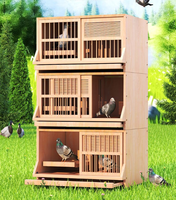 Cage d'élevage de pigeons voyageurs en bois écologique, résistante aux intempéries, avec nichoir et système de colombier extérieur pour les éleveurs de volailles professionnels
