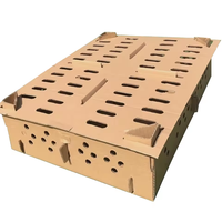Carton de conception personnalisée 100pcs boîte à oiseaux poussins vivants boîte d'expédition d'oiseaux vivants Pigeon