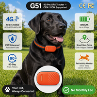 Localisateur GPS de collier pour animaux de compagnie 4G Anti-perte étanche APP gratuite suivi en temps réel chien